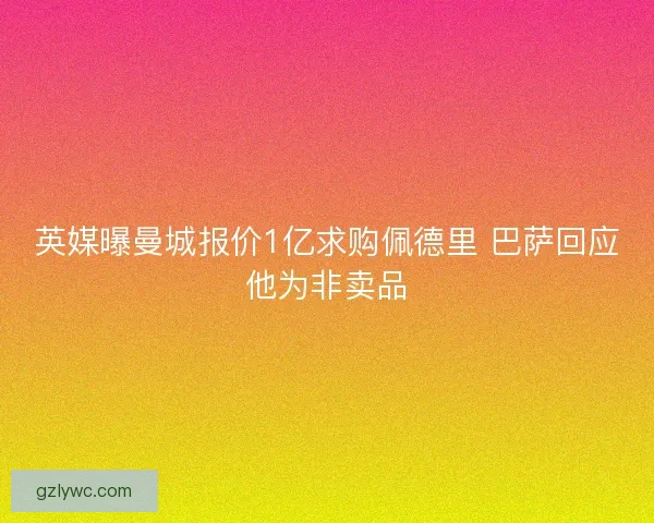 英媒曝曼城报价1亿求购佩德里 巴萨回应他为非卖品