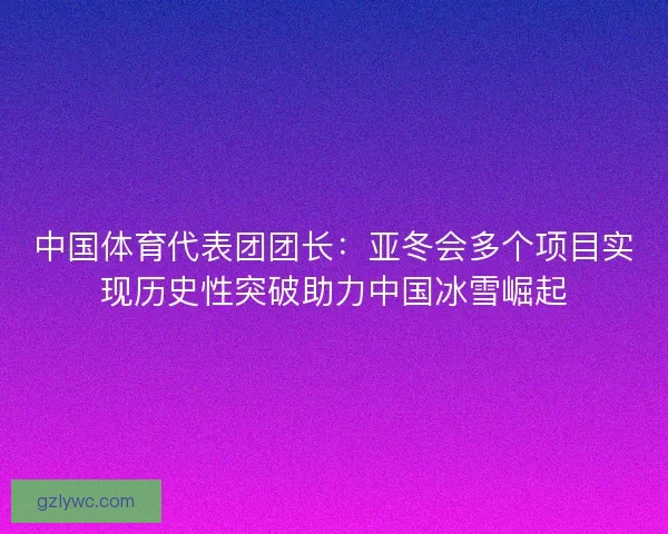 中国体育代表团团长：亚冬会多个项目实现历史性突破助力中国冰雪崛起