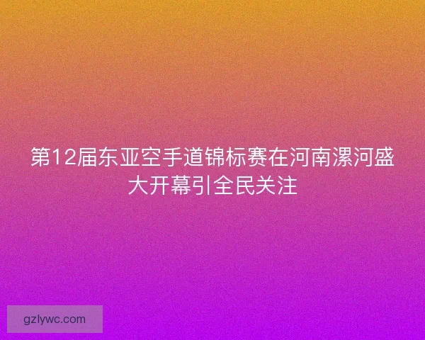 第12届东亚空手道锦标赛在河南漯河盛大开幕引全民关注