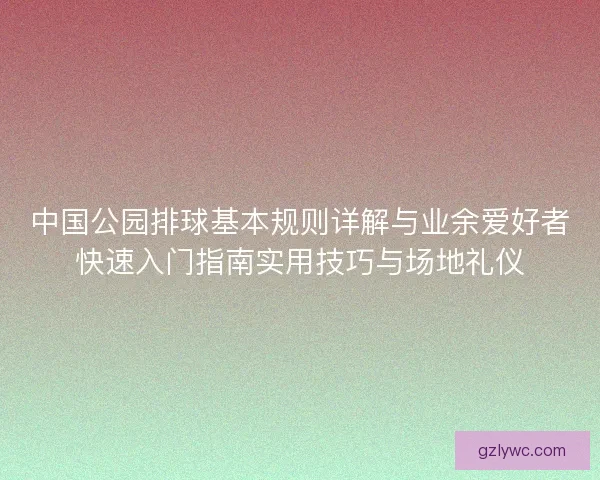 中国公园排球基本规则详解与业余爱好者快速入门指南实用技巧与场地礼仪