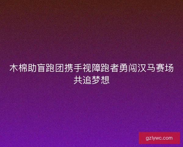 木棉助盲跑团携手视障跑者勇闯汉马赛场共追梦想