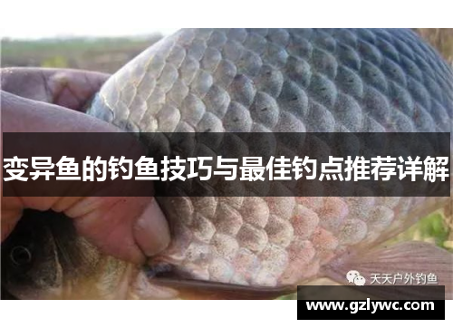 变异鱼的钓鱼技巧与最佳钓点推荐详解